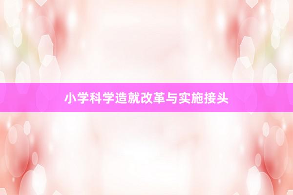 小学科学造就改革与实施接头