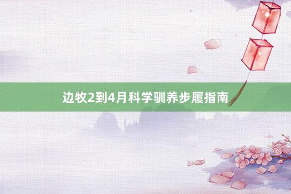 边牧2到4月科学驯养步履指南